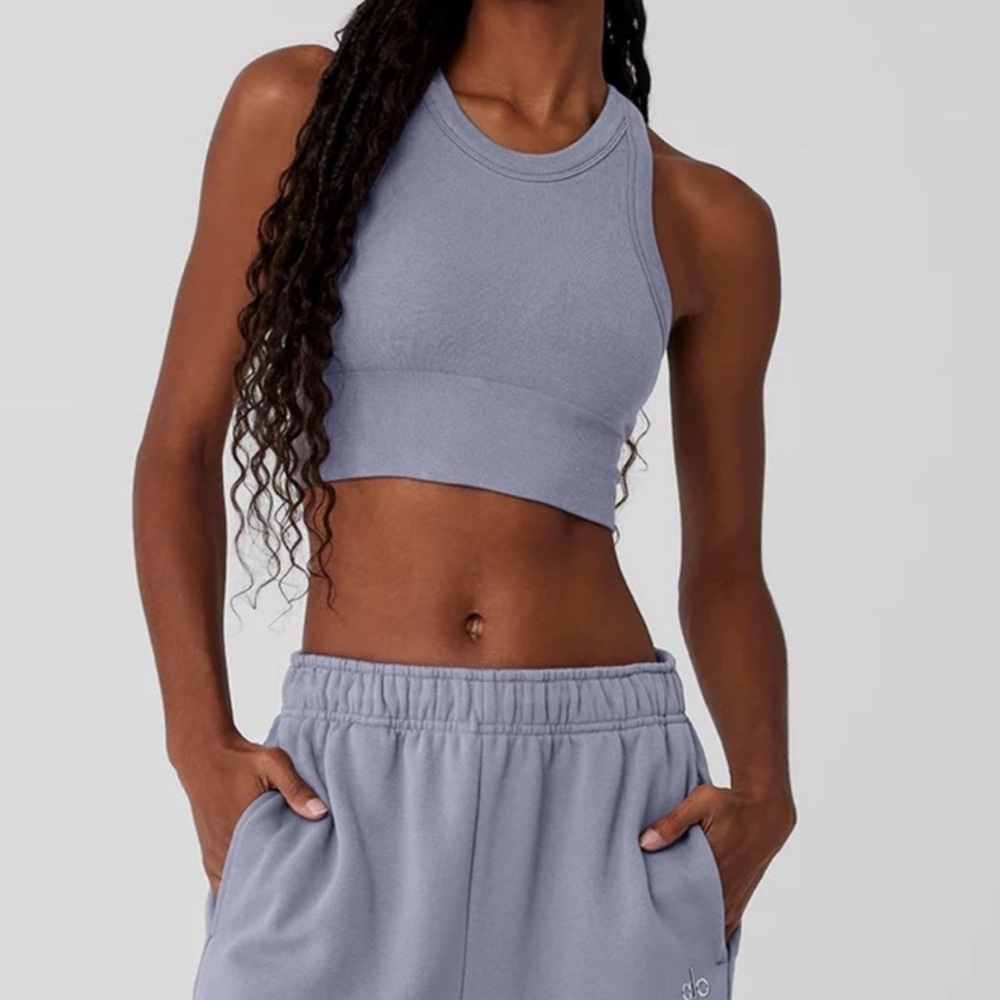 Alo Yoga Seamless Delight high neck bra XS fog